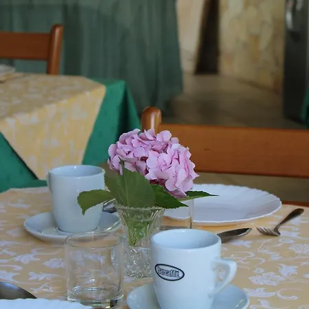 Vilma Сукошан